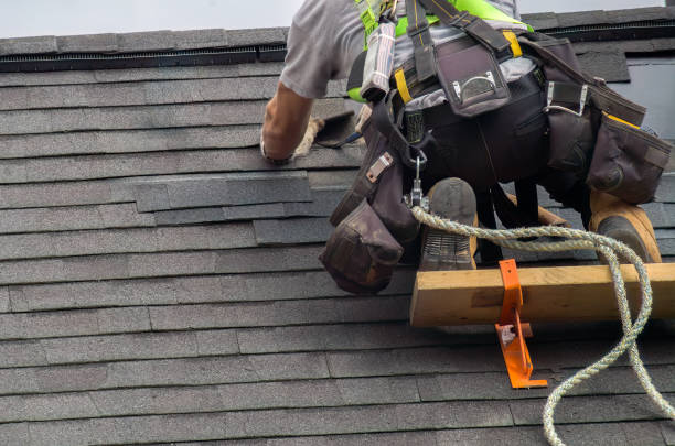 Roof Gutter Cleaning in Wildwood, MO